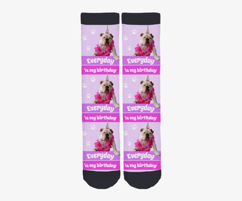 Cookie The English Bulldog "birthday" Socks - Sock, transparent png download