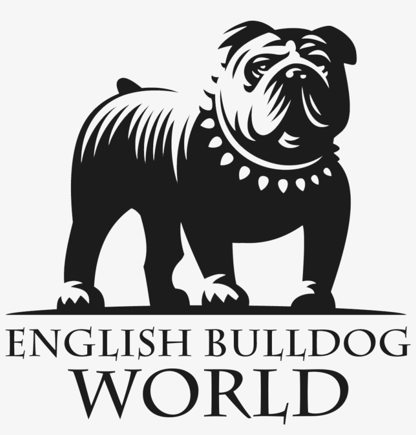 English Bulldog Logo, transparent png download