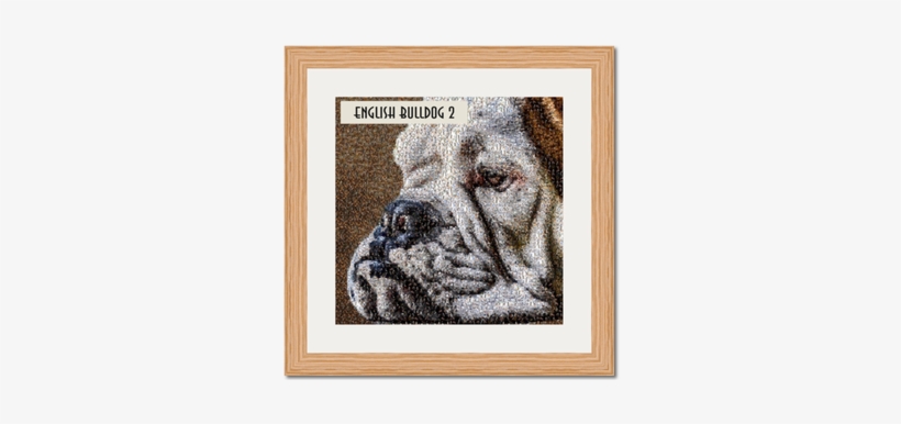 Unique English Bulldog Art Work Original Gifts Bespoke - Art, transparent png download