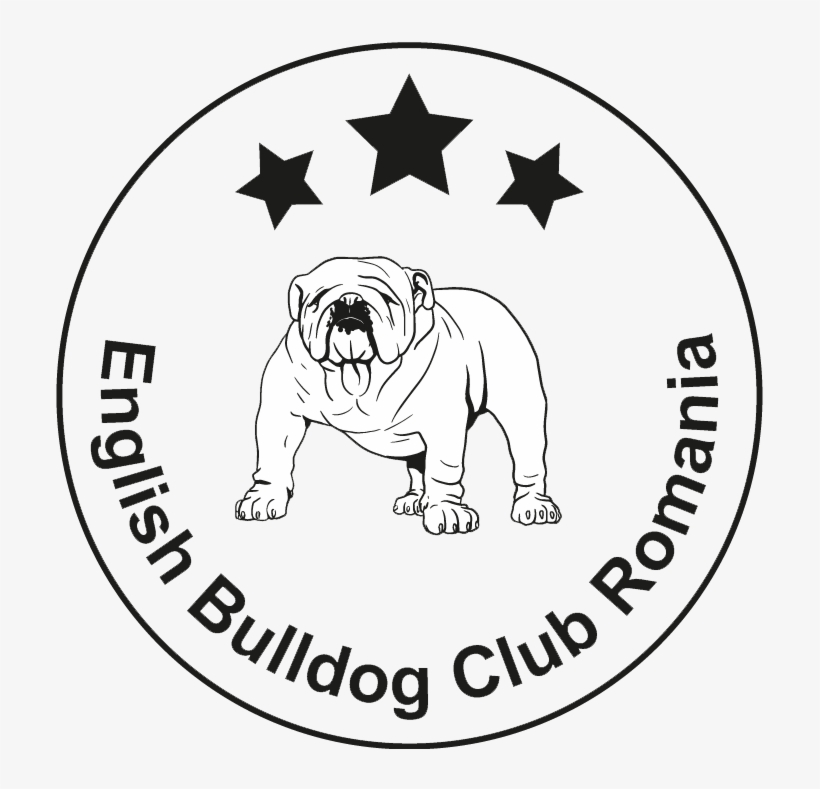 Bulldog Club Romania - Vector Graphics, transparent png download