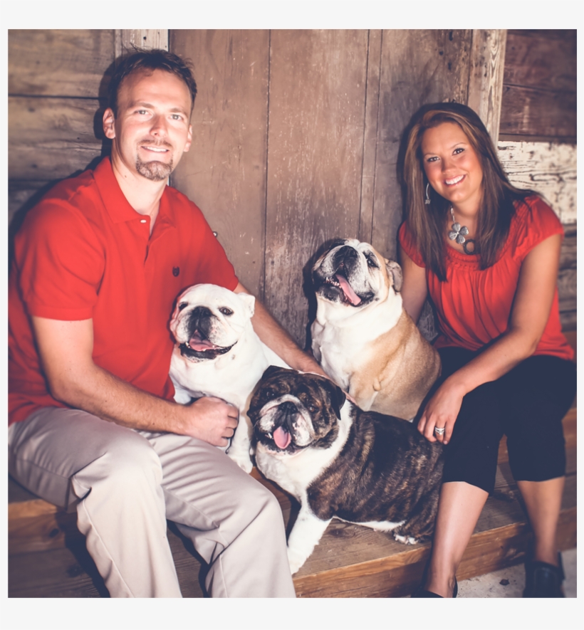 Harmony Bulldogs, Llc, transparent png download