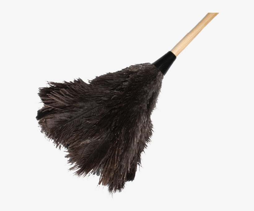 Understanding Dusters - Flightless Bird, transparent png download