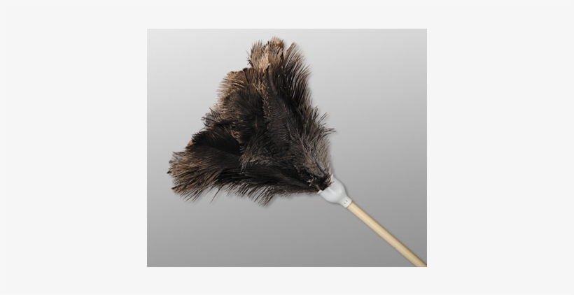 Duster Feather Ostrich - Feather Duster, transparent png download