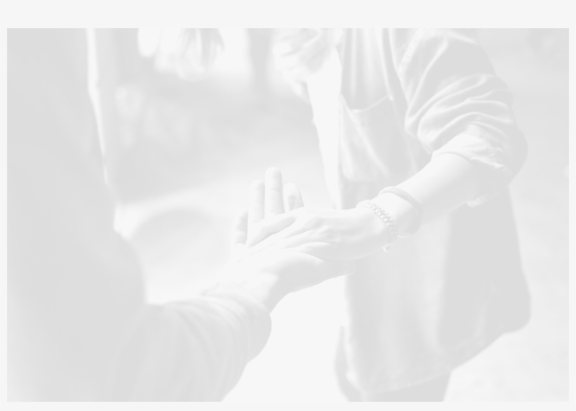 Reach Team - Le Storie Nutrono - Mariella Bombardieri,livia Cadei, transparent png download