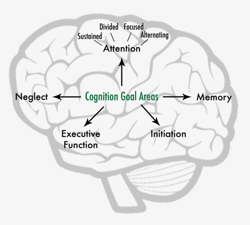Cognitiongraphic Website - Diagram, transparent png download
