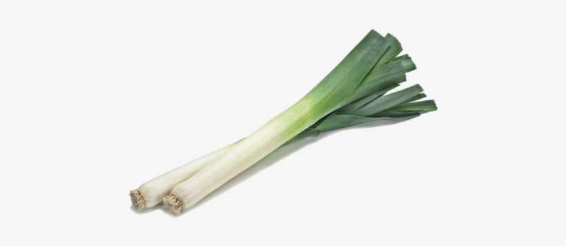 Leek - Leek Png, transparent png download