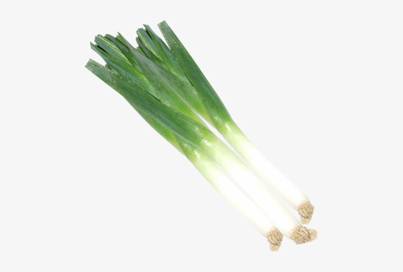 Onion Leeks - Leeks Png, transparent png download