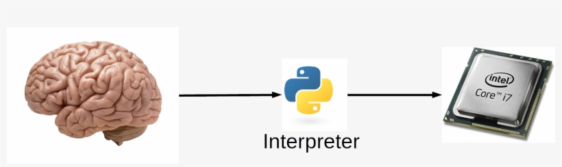 Physicists And Other Scientists Typically Perform A - Teacher, transparent png download