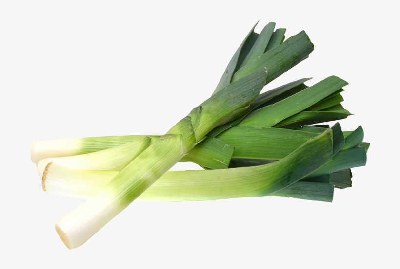 Leek Puree - Onion Leek, transparent png download