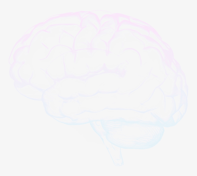 This Model Represents An Abstract Conceptual Model - Sketch, transparent png download