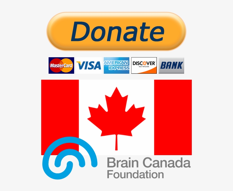 Donate Cdn - Montreal Canada Flag, transparent png download