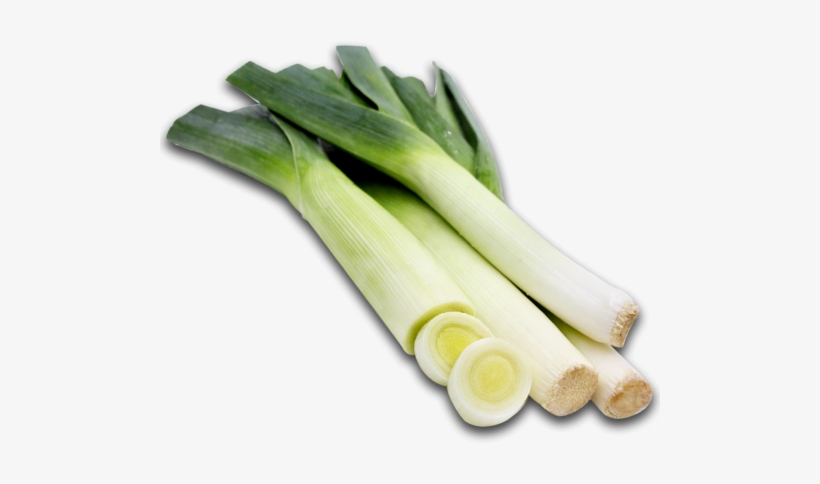 Leek, transparent png download