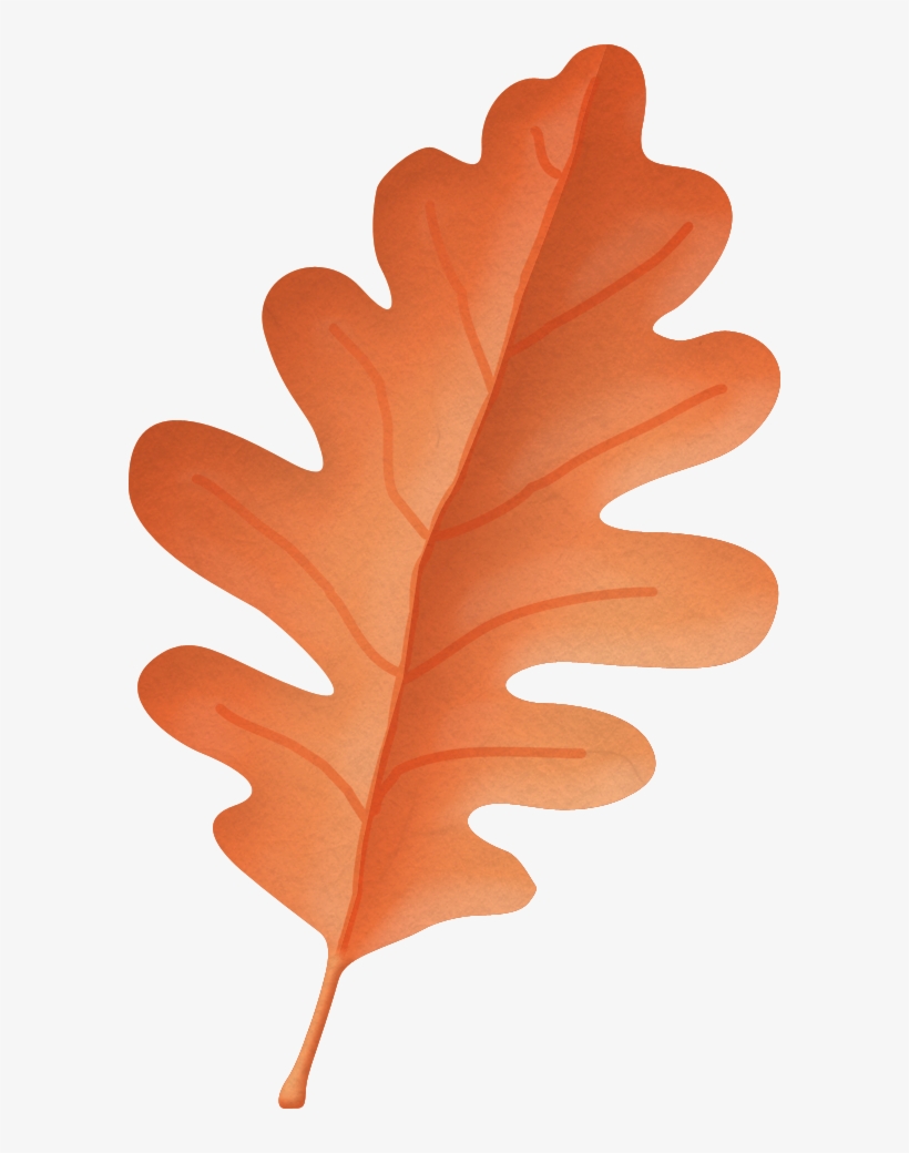 Фото, Автор Arana На Яндекс - Gambel Oak, transparent png download