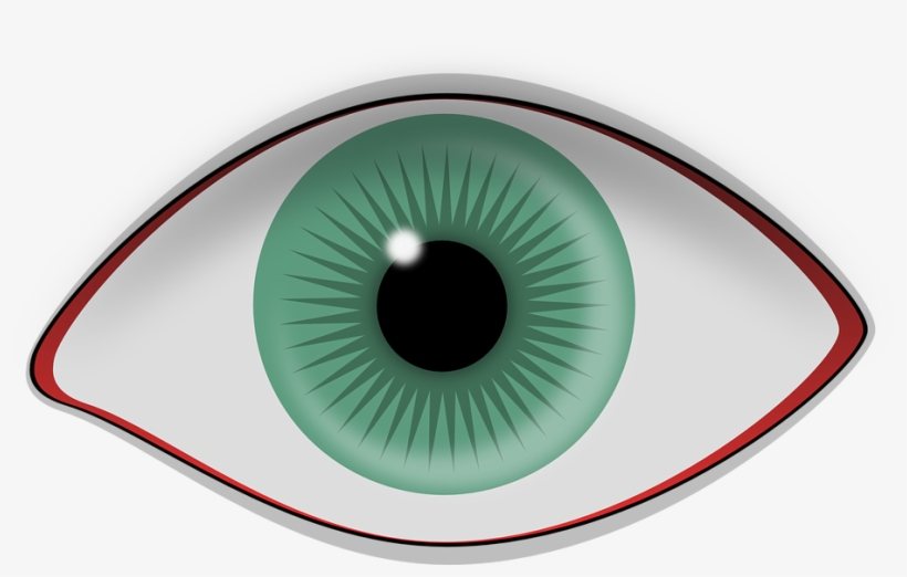 Síndrome Del “ojo Seco” - Optometria, transparent png download