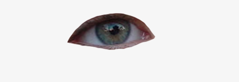 Imagen Imagen Real De Ojo - Eye, transparent png download