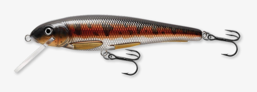 Sucker Stickbait - Livetarget Yearling Squarebill Blue Chartreuse Shad, transparent png download