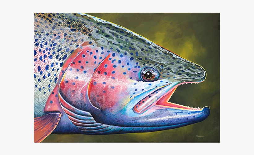 Winter Rainbow - Rainbow Trout, transparent png download