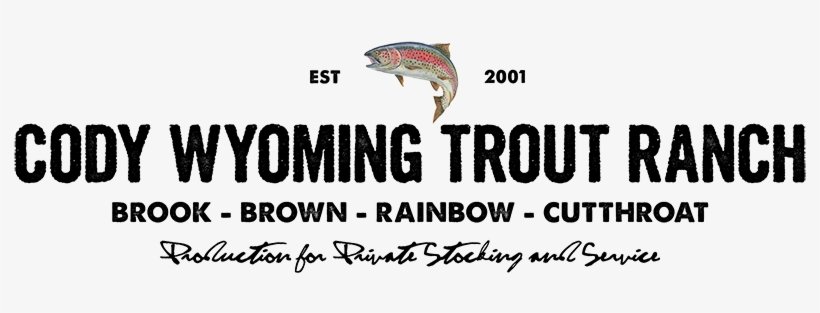 We Have Seven Different Trout Species Available For - Sean Garrett Feel Love Album, transparent png download