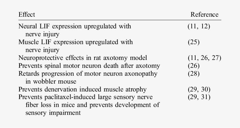 Interactions Of Lif With The Nervous System - Quotes, transparent png download