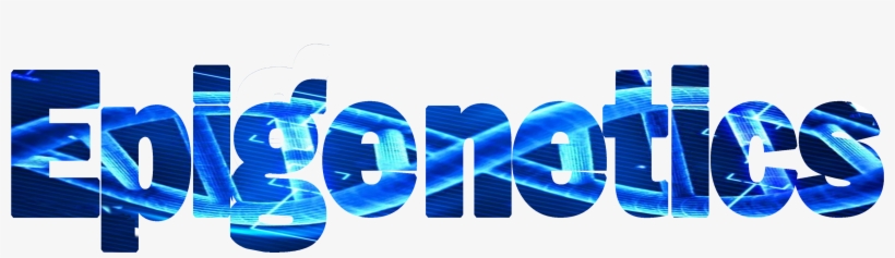 Epigenetics - Epigenetics Word, transparent png download