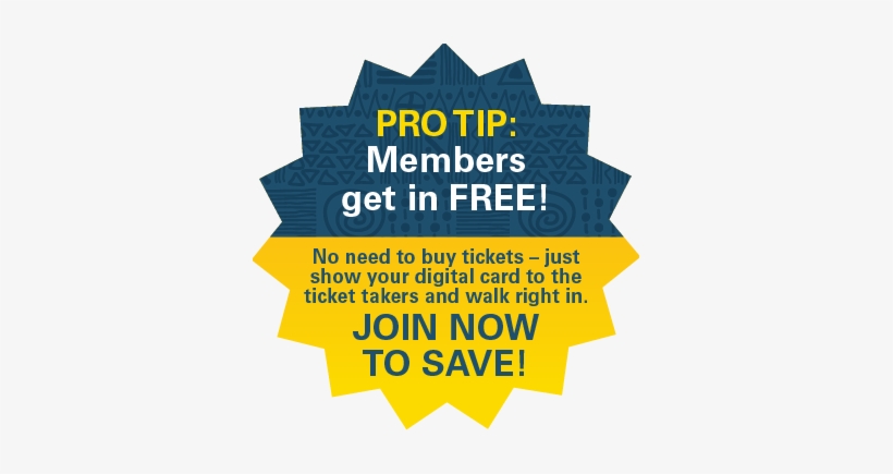 Safari Nights 2018 Snape - Shamelessly And Get Free Drinks, transparent png download