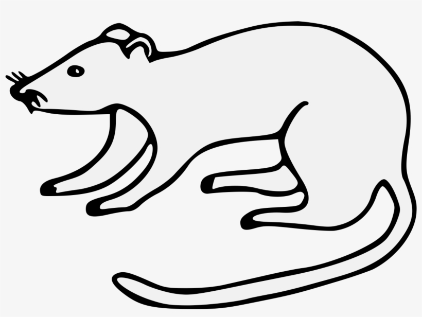 Details, Png, transparent png download