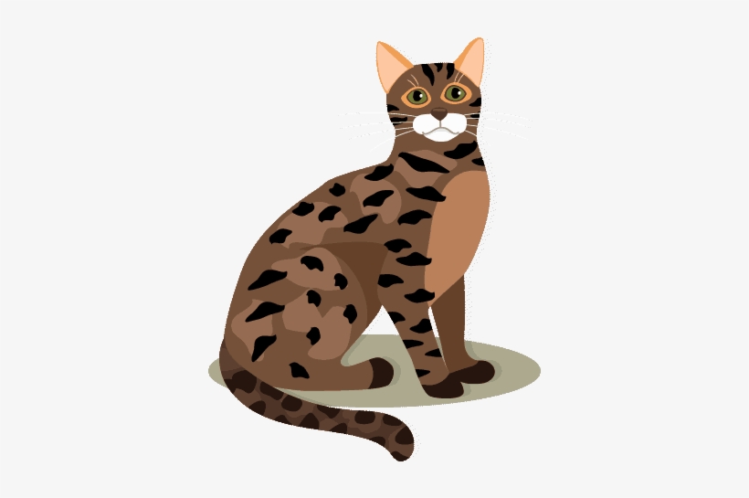 Heatstroke Is A Very Serious, Life Threatening Condition - California Spangled, transparent png download