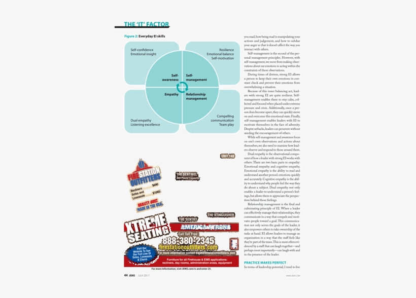 Cattails, transparent png download