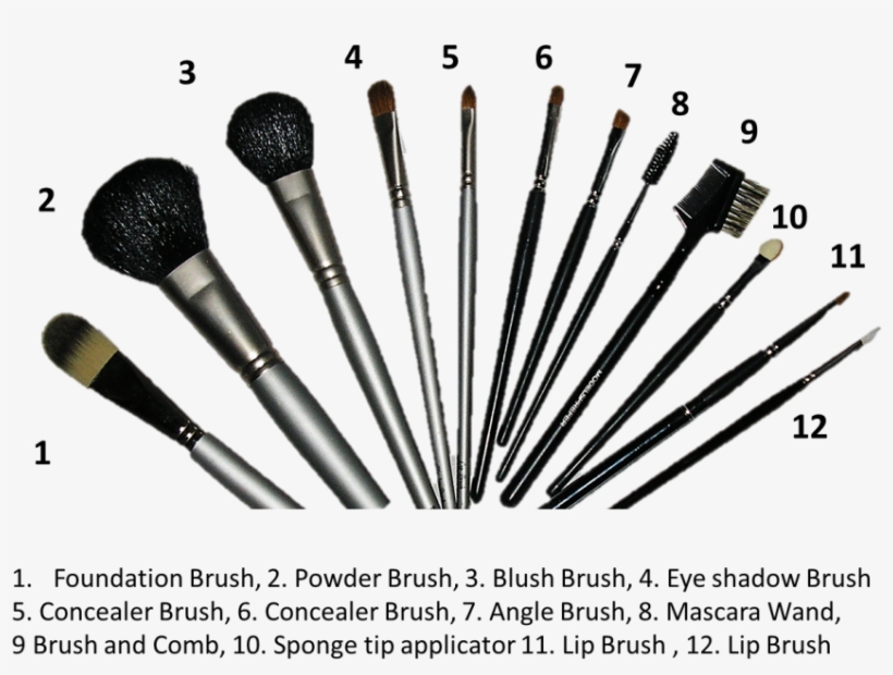 Make Up Brushes - Brush Do You Use To Put Eyeshadow Under Your Eye, transparent png download