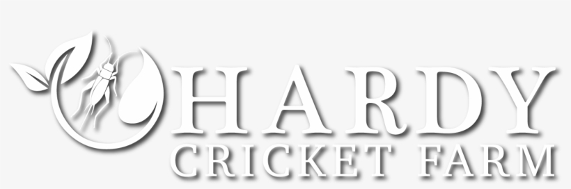 Cricket, transparent png download
