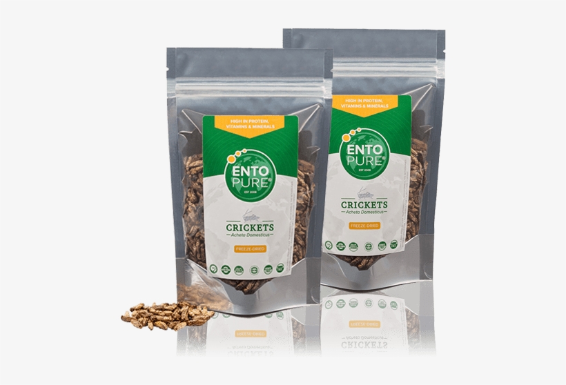 Freezedried Crickets - Eetbare Insecten Meelwormen Voor Menselijke Consumptie, transparent png download