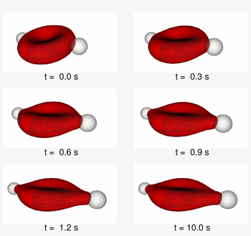 Evolution Of A Red Blood Cell - Red Blood Cell Simulation System Coupling, transparent png download