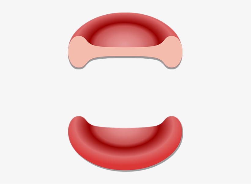 Red Blood Cell, transparent png download