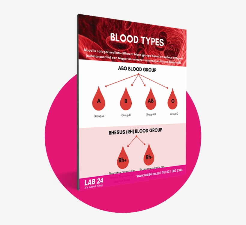 Sign Up Now & Receive Your Free Know Your Blood Type - Laboratory, transparent png download