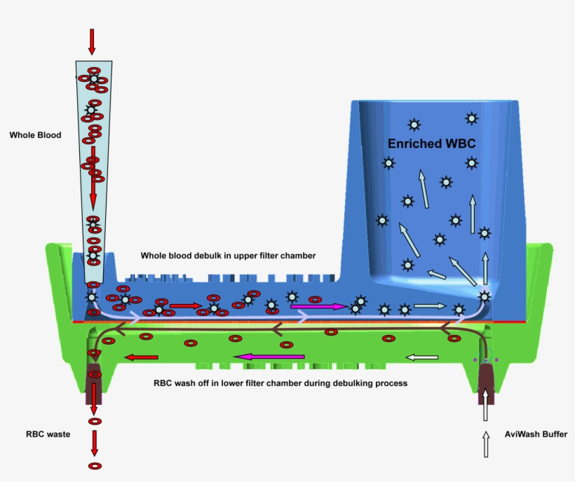 At The End Of The Filtering Process, Better Than 99%, transparent png download