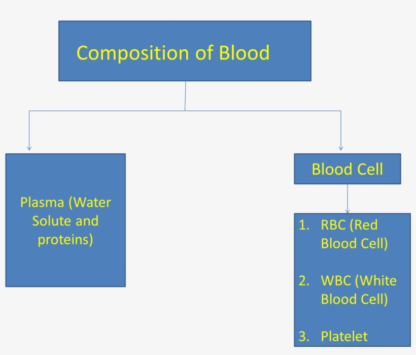 Medicine, transparent png download