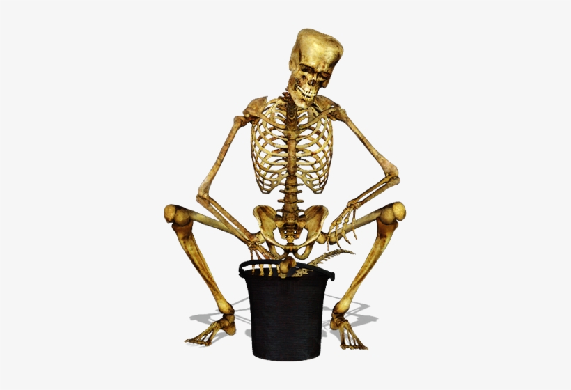 Skeleton-052 - Slav Squat Skeleton, transparent png download