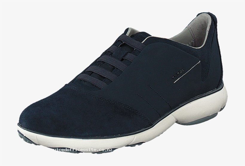 geox nebula navy