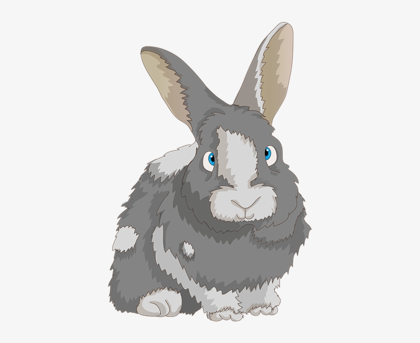 Rabbit, Cute, Dwarf Rabbit, Long Eared, Bunny, Hare - Rabbit, transparent png download