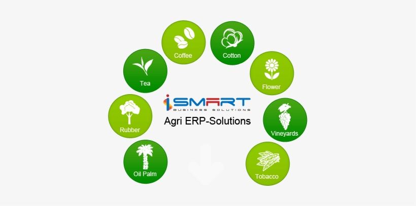 Global Footprint - Plantations Icons, transparent png download