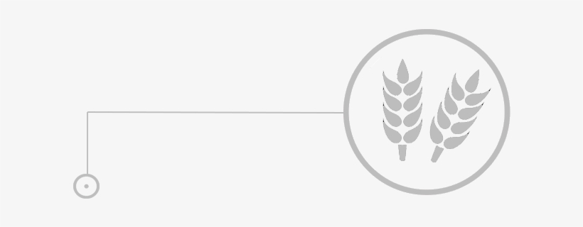 Icon Agricultural Drones For Sale Skynex Industrial - Agriculture Farming Wheat Style 6075 Diy Plastic Stencil, transparent png download