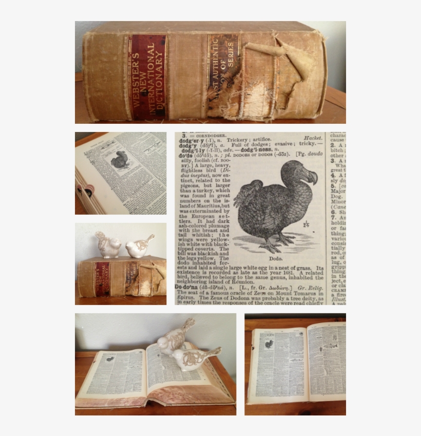 By Way Of The Dodo Bird - Dodo, transparent png download