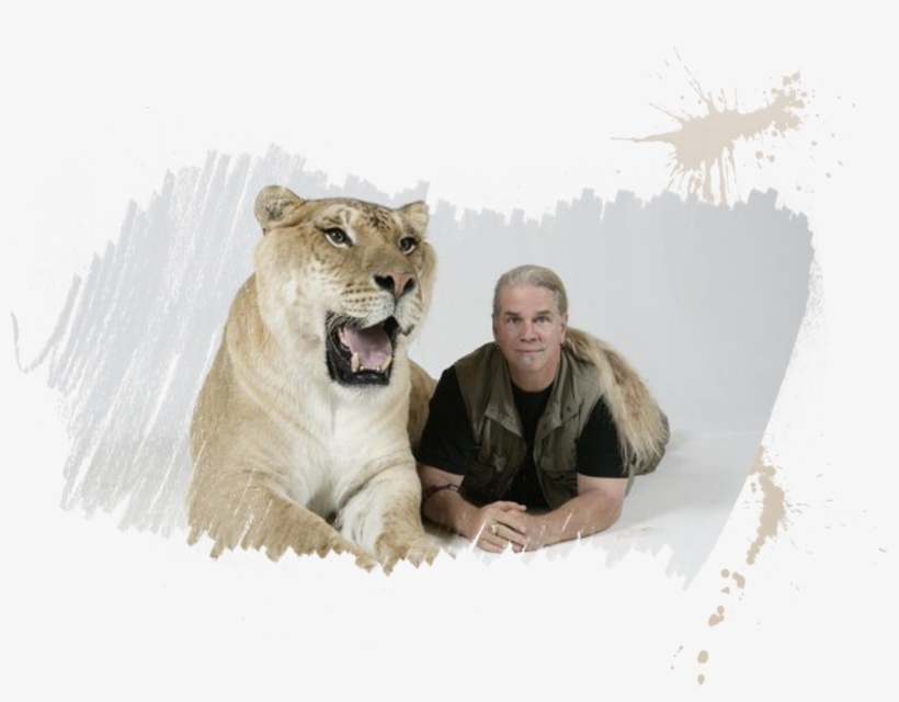 Hercules - Ligers, transparent png download