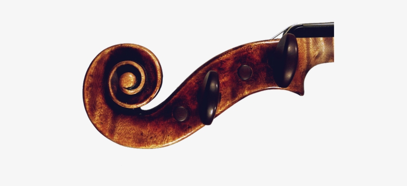 Enhance Your Sound With An Instrument From Stamell - Stamell Stringed Instruments, transparent png download
