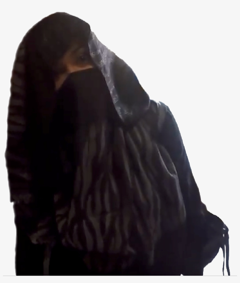 Anele Geisha Png - Beak, transparent png download