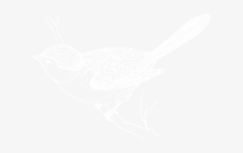 Birds On Branches Clipart - Clip Art White Bird, transparent png download