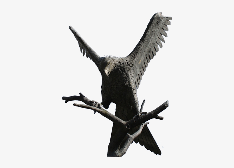 Bird Watching In The Area Red Kites And More - Bird Statue Png, transparent png download