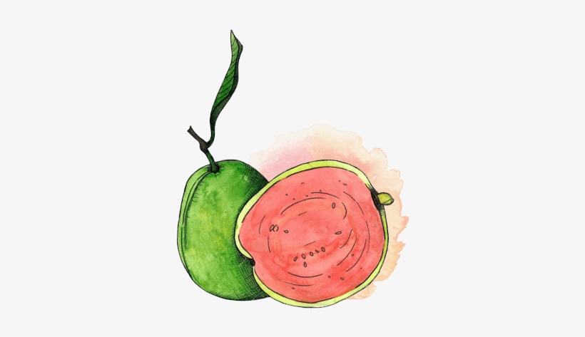 Goiaba-splash - Guava, transparent png download