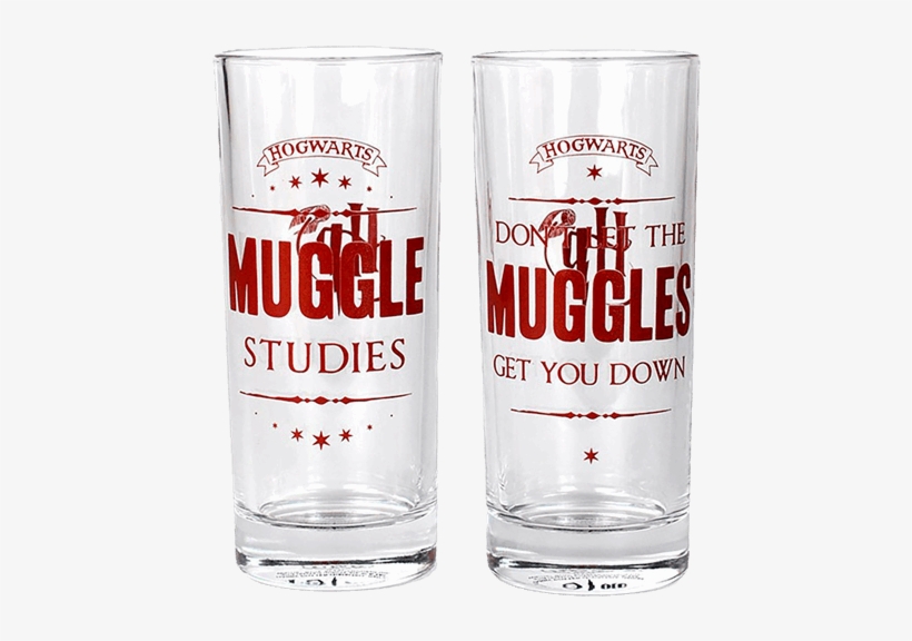Harry Potter Don't Let The Muggles Get You Down Mug, transparent png download