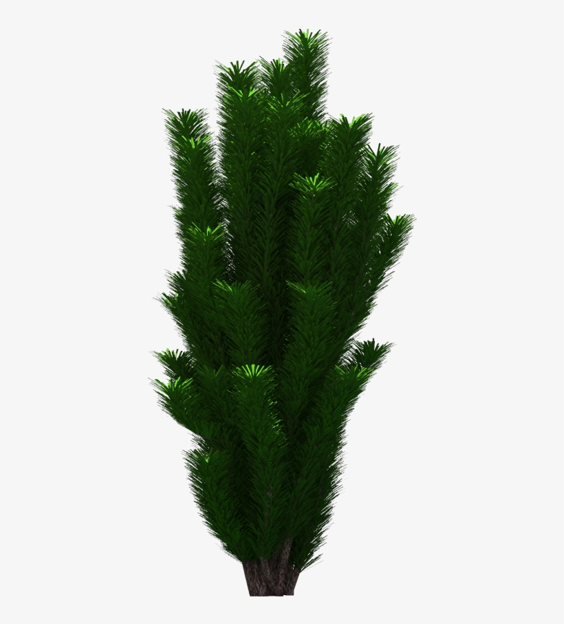 Tree Png Download - Grass, transparent png download